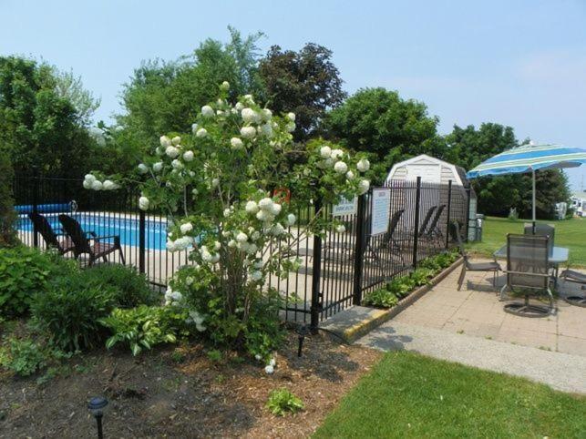 Lakeview Motel & Cottage 킨카딘 외부 사진